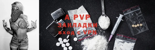 сатива Аркадак