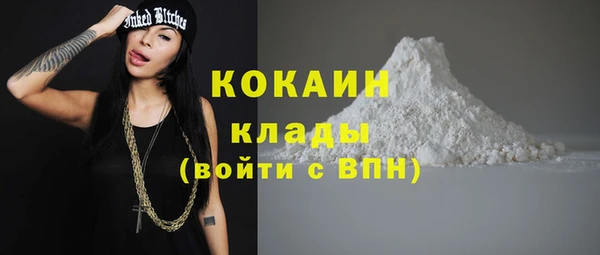 сатива Аркадак