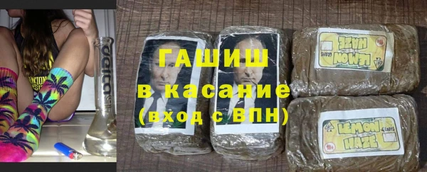 сатива Аркадак