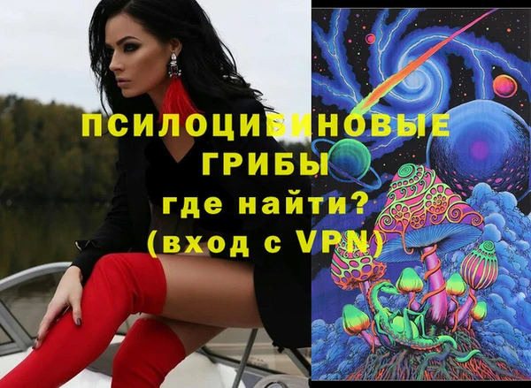 сатива Аркадак