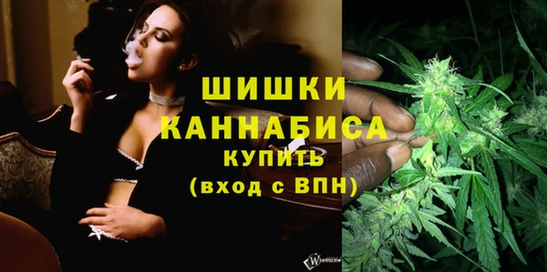 сатива Аркадак