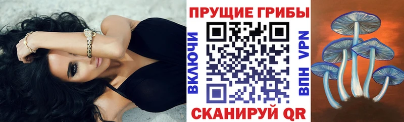 Галлюциногенные грибы мицелий  Острогожск 